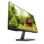 DELL 27